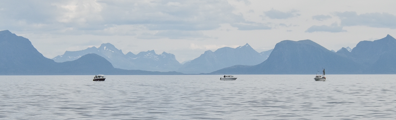 s/y Valborg